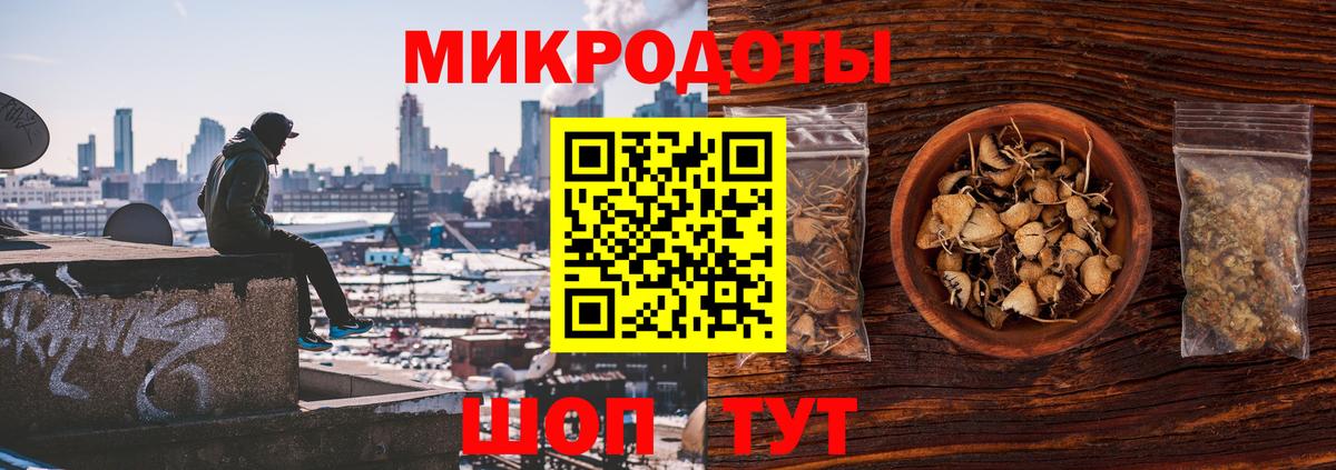 Псилоцибиновые грибы Cubensis Азнакаево